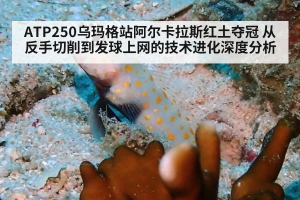 ATP250乌玛格站阿尔卡拉斯红土夺冠 从反手切削到发球上网的技术进化深度分析